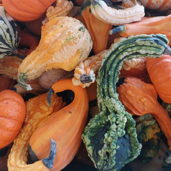 🐸🍄🌻 Meet Your Posher 🌻🍄🐸 - Picture 8 of 12